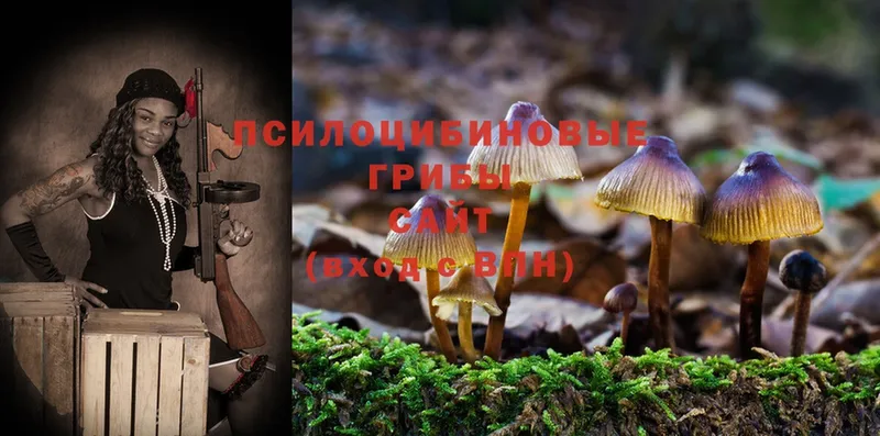 Галлюциногенные грибы MAGIC MUSHROOMS  закладка  Берёзовка 